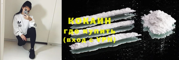 соль ск Алексин
