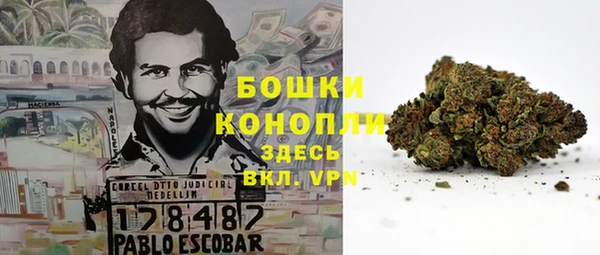соль ск Алексин