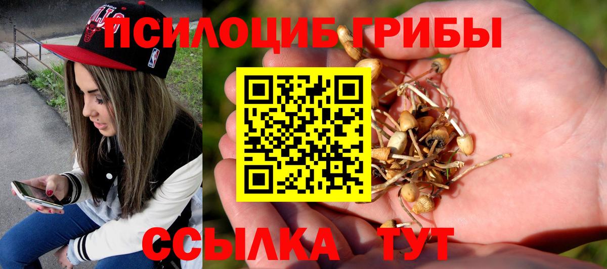 Галлюциногенные грибы прущие грибы  Псилоцибиновые грибы Magic Shrooms  купить   Вход с VPN  Шахты 